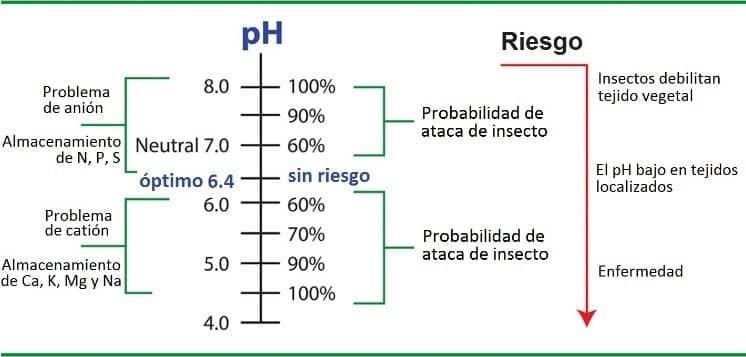 Medición de pH en savia de planta ph riesgos