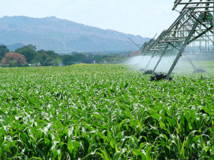 agroindustrias tratamiento agua