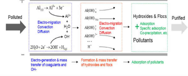 Mecanismo de reacción de electrocoagulación y Transferencia de masa