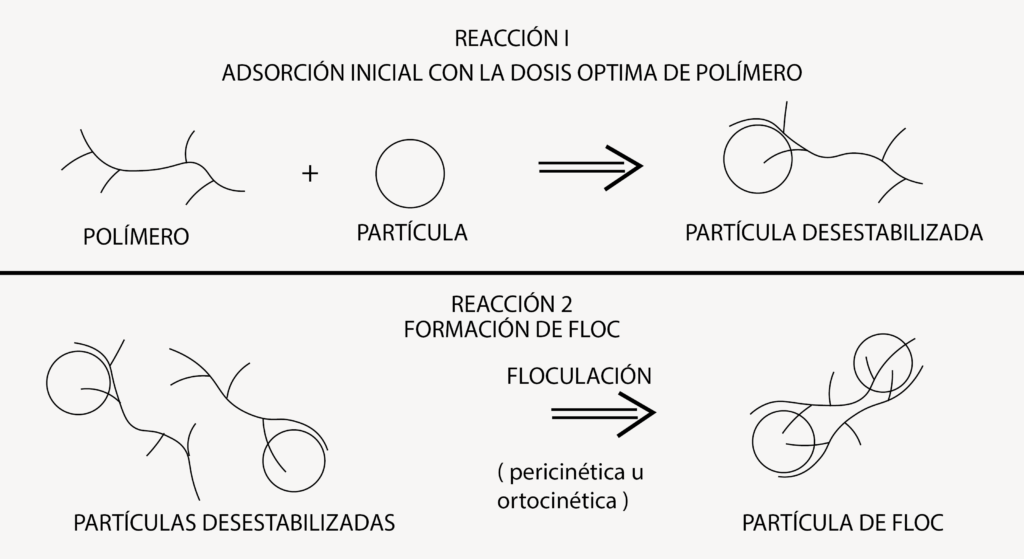 proceso de coagulación y floculación