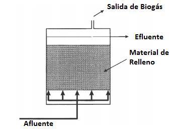 Figura 18 Bosquejo de filtro anaerobio de flujo ascendente Adaptado de Dahab 1982 1