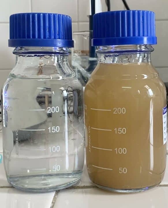 blog turdidezenelagua 02 e1750520021651 - Flowen.com.pe