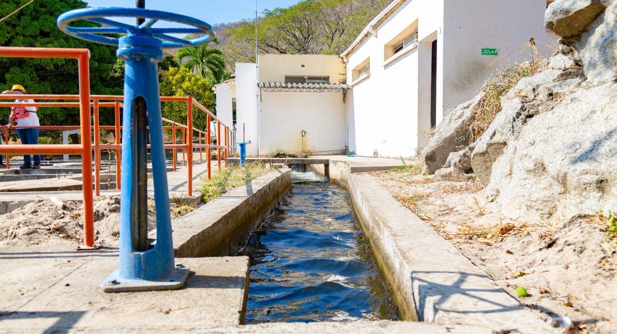 blog turdidezenelagua 04 - Flowen.com.pe