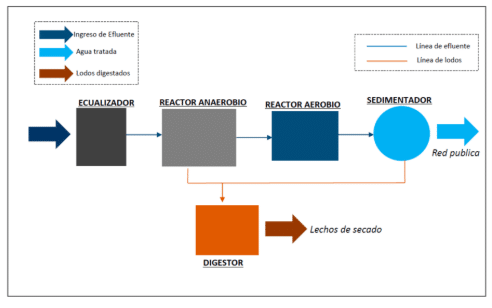 blog limon 05 - Flowen.com.pe