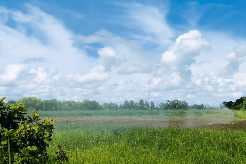 Blog Planta de tratamiento de aguas residuales en curtiembres 06 - Flowen.com.pe