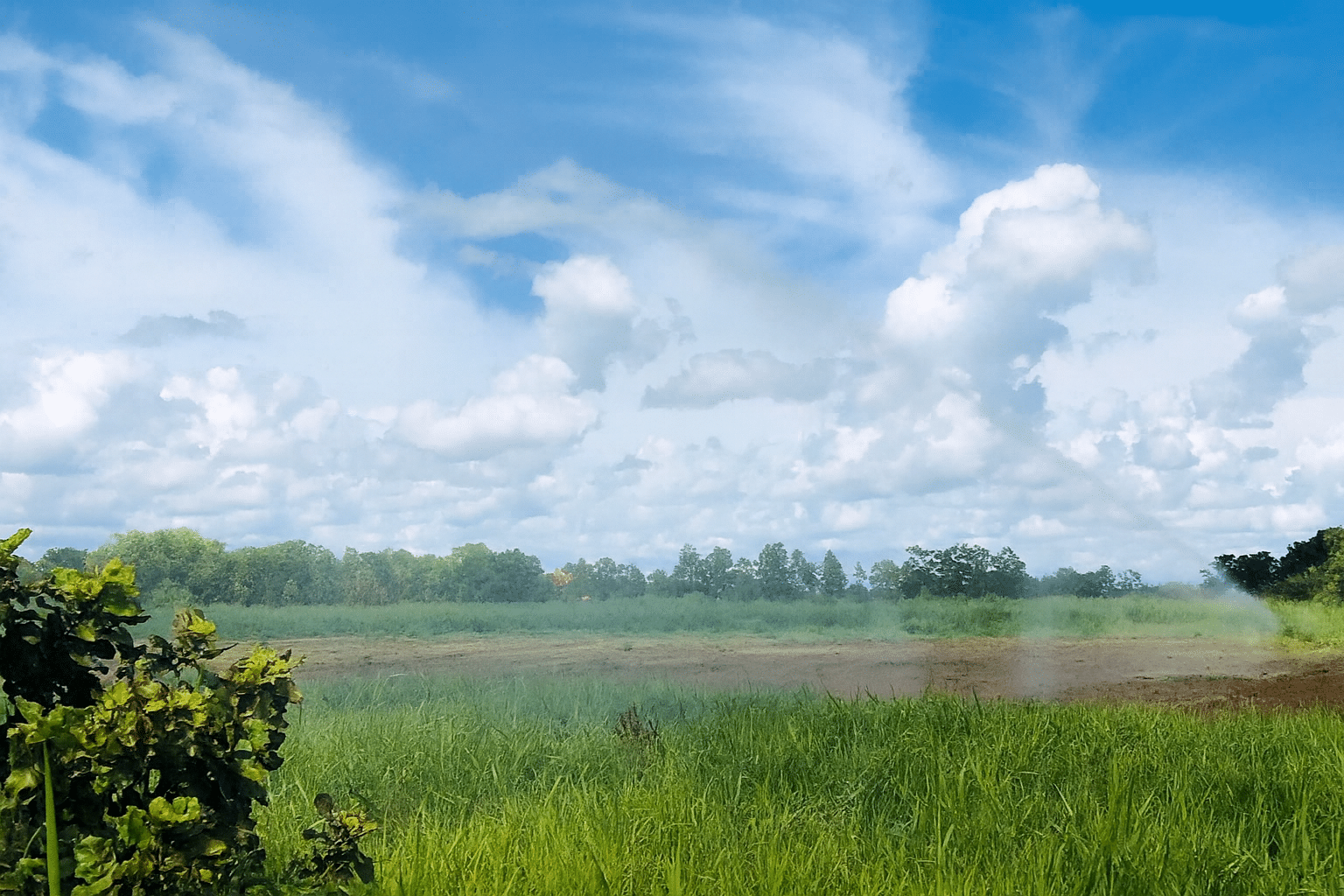 Blog Planta de tratamiento de aguas residuales en curtiembres 06 - Flowen.com.pe