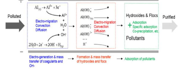 Mecanismo de reaccion de electrocoagulacion y Transferencia de masa - Flowen.com.pe